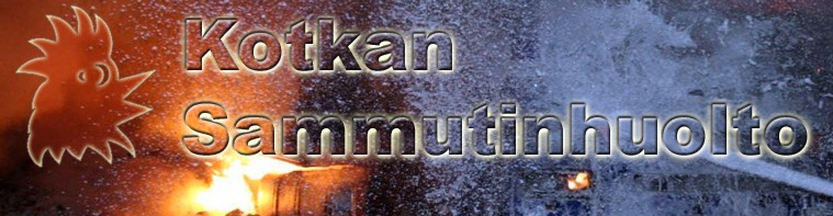 kotka.jpg
