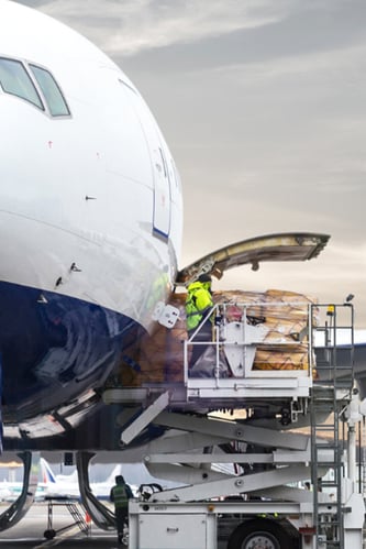 IATA DGR lentokone 800x1200 pysty, verkkosivut